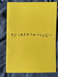 きのう生まれたわけじゃない　パンフレット