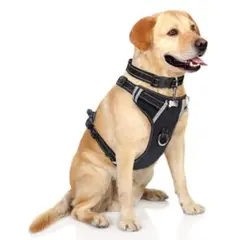 ❣️赤字覚悟❣️犬 ハーネスバック コントロールハーネス ブラック お散歩 ハーネス