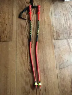 レキ ジュニア用GSストック110cm