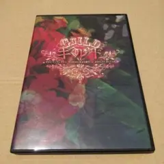 ギルドワンマンツアー　DVD