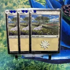 【10枚】平地　Plains JUMP 土地　ジャンプスタート　犬　MTG 英)平地 / Plains【JMP】 (Dogs) No.045｜MtG通販サイト