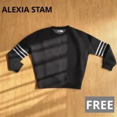 ❤️最終値下げ❤️【美品】ALEXIA STAM トレーナー