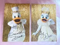 東京ディズニーランド　ワンマンズドリーム　ドナルド&デイジー　ポストカード