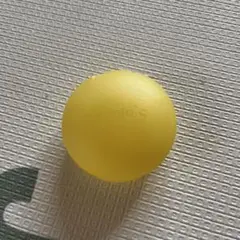 medela 乳頭保護器収納ケースのみ
