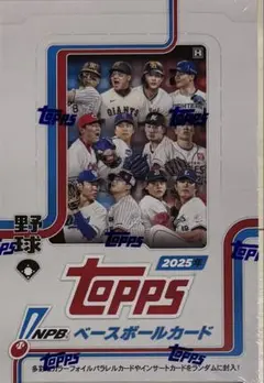 Item thumbnail for item 02dc902f-d4e6-4557-bcb2-898ad6ddc4d3