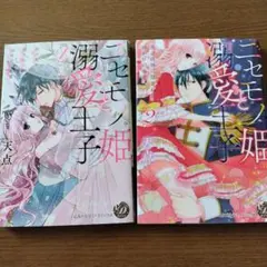 ニセモノ姫と溺愛王子～氷の仮面に隠された10年目の渇愛～2