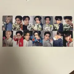 ENHYPEN 宵 YOI トレカ セット14枚