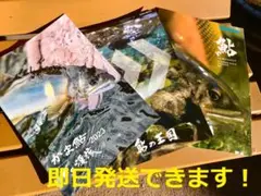 渓流釣り・鮎釣り・カタログ【最新!2023年版】がまかつ、ダイワ、シマノ、3冊