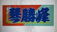 大相撲　のぼり風力士タオル　琴勝峰
