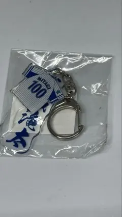 横浜DeNAベイスターズ 宮城選手　ユニフォーム型キーホルダー　新品未使用