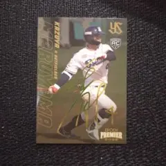 Item thumbnail for item f04bd74a-c5c6-4449-bd04-1e8e40947e27