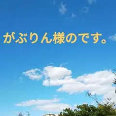 がぶりん様専用!!