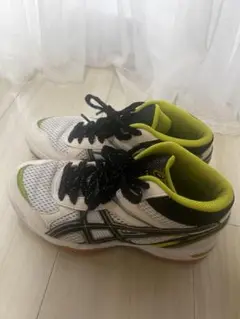 Item thumbnail for item 6da19b53-5582-48bb-aa8f-7696448e8d28