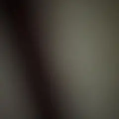 専用出品