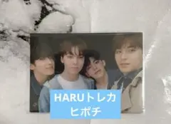 SEVENTEEN HARUトレカ　ヒポチ