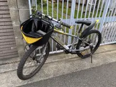 DRIDE 子供用自転車22インチ【大阪引き取り限定】