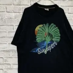 USA製90sヴィンテージTシャツ！シングルステッチ　ブラック半袖古着XL 16