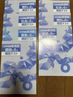 中学校新演習 確認テスト 6年生＋プリント