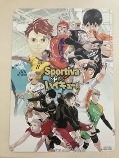 ハイキューsportiva スポルティーバ　アニメイト特典　B5ビジュアルボード