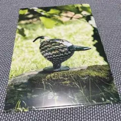 クリアファイル　Toikka Oiva littala イッタラ　オイバ