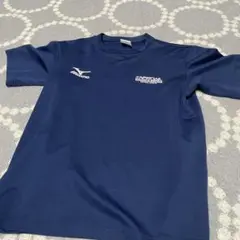 Item thumbnail for item a86afccd-0f66-4f1e-90a6-c0cac66fc488