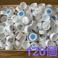 ペットボトルキャップ白ベース　工作材料