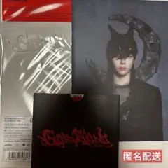 【匿名配送】&TEAM 月狼 go in blind NICHOLAS 盤 1枚