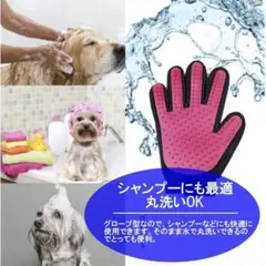 Item thumbnail for item 721b8c6c-9707-4b5b-82e6-589f11d7baa6