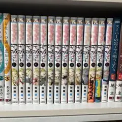 やんちゃギャルの安城さん 13巻セット