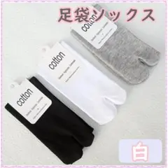 Item thumbnail for item 8fc75598-12c7-451f-8d59-0c9c44f14eb1