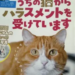 うちの猫からハラスメント受けてます