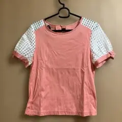 Item thumbnail for item 3c60f26c-b8fe-48c5-b215-f299f973c073