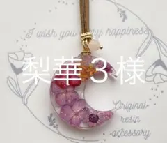 Item thumbnail for item 04e36f5f-c2ed-4694-ad73-a0232c63a1cc