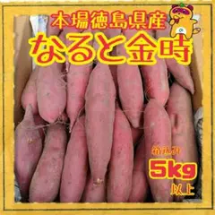 本場徳島県産なると金時