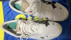 Item thumbnail for item 2cca8032-0d3d-4952-b41e-b0594a367687