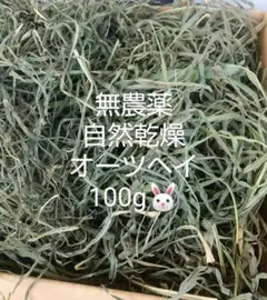 Item thumbnail for item 4613a4d9-47a4-4cf2-829c-c29e467200b7