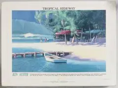 KEN AUSTER Tropical Hideway 2000P 内袋未開封