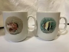 Item thumbnail for item ece3f528-42f8-416e-be05-3325ac8101b1