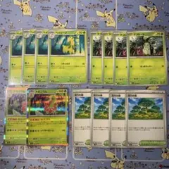 メガニウム進化ライン　活力の森　計14枚セット