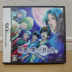 暗闇の果てで君を待つ　DS