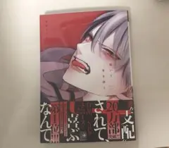 BL本 跪いて愛を問う