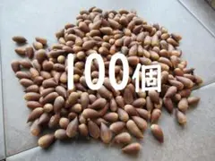 Item thumbnail for item 21905968-573b-4092-b23d-fac47cb0e971