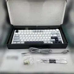 新品未使用 AULA F75 Glacier blue キーボード