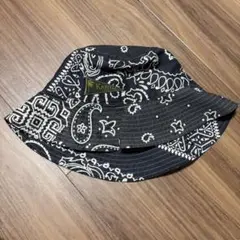 Item thumbnail for item 4f00b65f-f2f3-45a3-b493-22aa4681f619