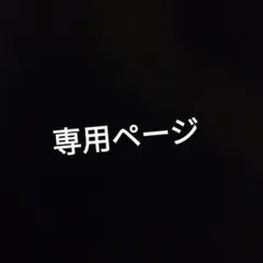 購入前様　専用ページ　スクリュータイプ　ケース