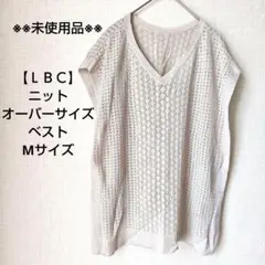 Item thumbnail for item f2bc19e0-33ba-47a2-8537-1d79f327816b
