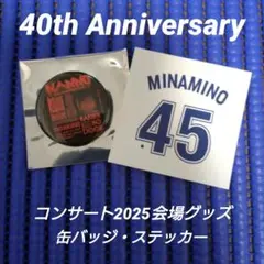 南野陽子/コンサート2025 会場限定グッズ・ランダム商品/缶バッジとステッカー