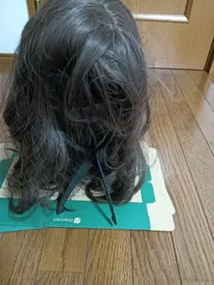 Item thumbnail for item b1798e79-3b45-46a6-89f6-3a71bc8e7864