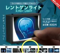 奇譚クラブ レントゲンライト ガチャ　新品　ガチャガチャ　即購入可能