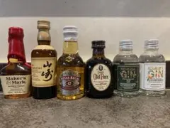 ウィスキーu0026ジンミニボトル50ml 6本セットせっと